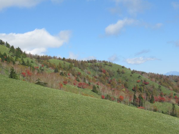 登山道